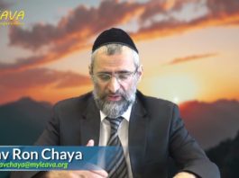 L’organisme Hasdei Amram en Israël