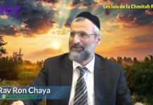 Les lois de la Chémitah (P 01), une 7ème année « sabbatique » imposée par la Torah