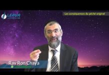 Les conséquences du péché originel selon la Torah d’Israël