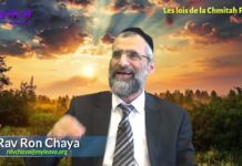 La sainteté des fruits d’Israël (P 02) – Les lois de la Chémitah