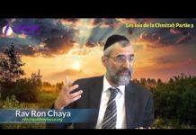 Les frontières saintes de la terre d’Israël (P 03) – Les lois de la Chémitah