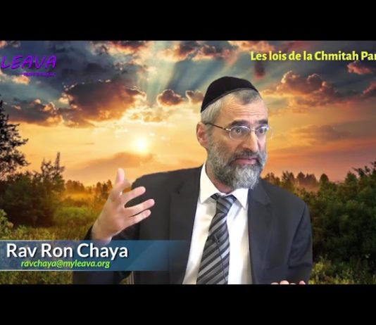 Les frontières saintes de la terre d’Israël (P 03) – Les lois de la Chémitah