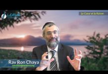 Le cœur vs la raison : La Torah d’Israël a déjà choisi son champion !