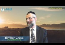 Le Talit et les Tsitsit, les armes du juif, combattant du peuple d’Israël