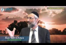 Deux qualités opposées mais vitales à l’homme qui agit selon la volonté de D.ieu