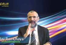 Ma vie à fond pour D.ieu, tel un digne descendant d’Avraham – Joyaux Paracha Lekh Lekha