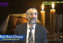 Les lois de Chabbat – Trier 06 et Presser 01 – Laver et presser des fruits