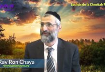 Les végétaux qui poussent rapidement ou tout seuls ? (P 06) Les lois de la Chémitah