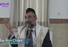 118 – Séparer des yaourts pendant Chabbat ? Série La Halakha du Jour