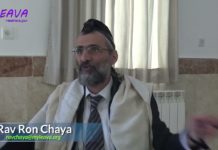 119 – Le statut de celui qui transgresse le Chabbat ? Série la Halakha du jour