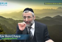 Tu peux être comme D.ieu ou comme un homme : Providence ou libre arbitre