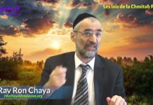 Vendre les fruits de la 7ème année ? (P 09) Les lois de la Chémitah