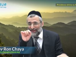 Tu peux être comme D.ieu ou comme un homme : Providence ou libre arbitre