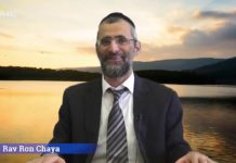 Des formes de Lachone Hara plus subtiles mais tout aussi GRAVES !