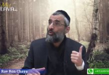 Capital génétique transgénérationnel : un petit don de soi pour une lumière infinie