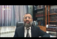 Comment tuer les souris qui rentrent chez nous ? Réponses du Rav Ron CHAYA