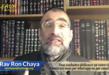 Vision kabbalistique de la bénédiction de Yéhouda, Roi d’israël – OrHa’haim parachat Vayé’hi