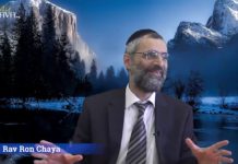 Le manteau du Steipler : Jusqu’au bout par amour d’Hachem !