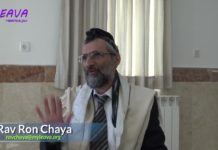 ✋ L’origine ésotérique du « Hamsa » « 5 » contre le mauvais œil