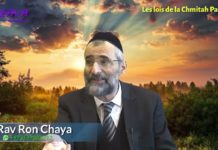 Les fruits et légumes du Otsar Beth-Din, comment ça marche ? (P 11) Les lois de Chémitah