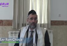 Couper un arbre fruitier est aussi grave que de manger du porc ! série La Halakha du Jour (128)