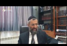 Quel était le but de l’exil et de l’esclave en Egypte ? Les réponses vidéos du Rav Ron CHAYA