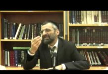 Terre d’Israël, dure et divine !