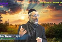 Comment utiliser les fruits Saints de la Chémitah ? (P12) Les lois de la Chémitah