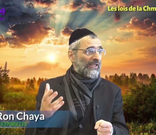 Comment utiliser les fruits Saints de la Chémitah ? (P12) Les lois de la Chémitah