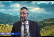 Le statut spécial du RIZ dans les lois de consommation des aliments (Partie 5)