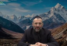 Nos grands de Torah, littéralement intouchables !