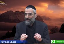 Baba Salé : Faire toujours plus par Amour de D.ieu