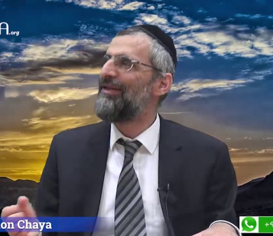 Faire le bon choix de vie : le précieux conseil du Rav Steinman