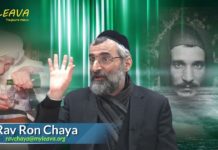 Histoires miraculeuses (inédites) du Saint d’Israël – Baba Salé – P1