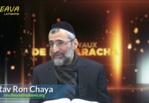 Moché Rabbénou : la lumière de notre peuple – Les Joyaux de la Paracha Tétsavé 2022