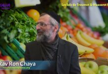 Fruits et légumes d’Israël P1 : Lois juives de prélèvement (Troumot / Maassrot)