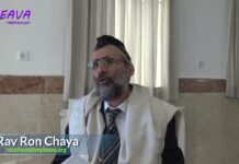 Faire un guacamole ou une purée pendant Chabbat, permis ? Halakha du Jour 138