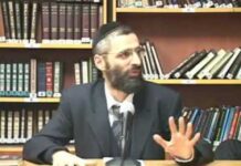 Il me faut absolument un CHAT ..!