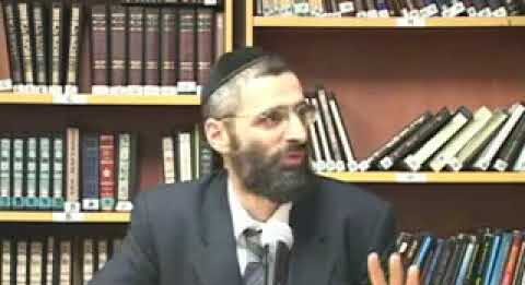 Il me faut absolument un CHAT ..!