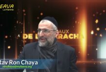 Ces 4 comportements FONDAMENTAUX qui sont L’ESSENTIEL d’un Homme ? Les Joyaux de la Paracha VAYIKRA 2022