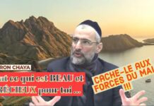 Tout ce qui est BEAU et PRÉCIEUX pour toi … cache-le aux FORCES DU MAL !