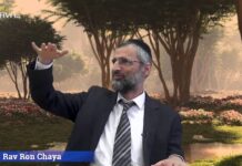 D.ieu, le Papa des Orphelins : L’instant Toujours Mieux avec le Rav Ron Chaya