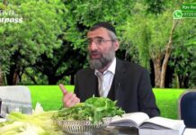 03B-Le Séder de Pessah du Rav Ron Chaya – étape 3B : KARPASS SUITE