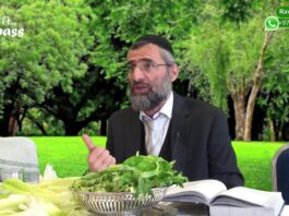 03B-Le Séder de Pessah du Rav Ron Chaya – étape 3B : KARPASS SUITE