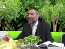 03A-Le Séder de Pessah du Rav Ron Chaya – étape 3A : KARPASS