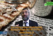 Une laitue sans insectes – Petits rappels de Pessah