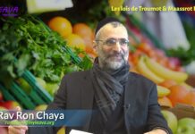 Fruits et légumes d’Israël P2 : Lois juives de prélèvements (Troumot / Maassrot)