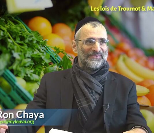 Fruits et légumes d’Israël P2 : Lois juives de prélèvements (Troumot / Maassrot)