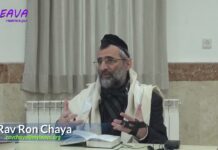 Retirer une saleté de sa barbe ou une poussière de son habit pendant Chabbat ? Série la Halakha du jour148