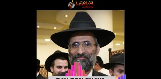 Chabbat Parachat Chélakh-Lékha et Korah (en Israël) 2022 – Message audio du Rav Ron Chaya